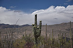 photo thumbnail #11