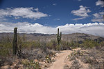 photo thumbnail #12