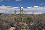 photo thumbnail #14
