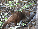 photo thumbnail #1