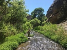 photo thumbnail #3