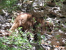 photo thumbnail #13