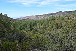 photo thumbnail #14