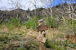 photo thumbnail #11
