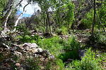 photo thumbnail #2