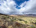 photo thumbnail #10