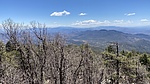 photo thumbnail #4