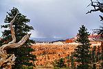 photo thumbnail #15