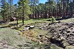 photo thumbnail #3