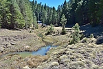 photo thumbnail #7