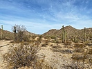 photo thumbnail #4