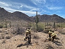 photo thumbnail #5