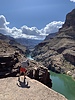 photo thumbnail #15