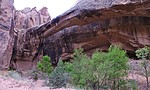 photo thumbnail #6