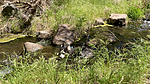 photo thumbnail #8