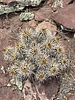 photo thumbnail #14