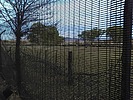 photo thumbnail #15