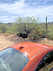 photo thumbnail #1