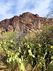 2021-05-02 :2: Carney Springs Waterfall from LGM East :: ScottHika