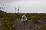 photo thumbnail #4