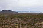 photo thumbnail #15