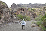 photo thumbnail #6