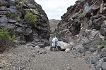 photo thumbnail #12