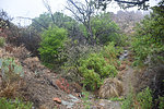 photo thumbnail #10