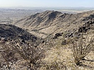 photo thumbnail #7