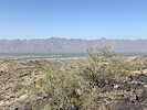 photo thumbnail #13