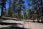 photo thumbnail #4