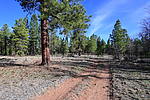 photo thumbnail #7