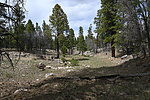 photo thumbnail #10