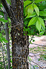 Featured Detail Photo
