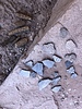 photo thumbnail #12