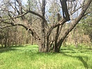 photo thumbnail #4