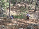 photo thumbnail #9