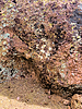 photo thumbnail #12