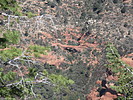 2021-05-04 :2: Wilson Mountain Trail #10 :: DixieFlyer