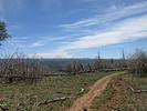 photo thumbnail #13