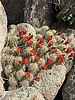 photo thumbnail #3