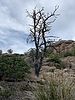 photo thumbnail #14