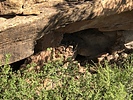 photo thumbnail #1
