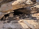 photo thumbnail #3