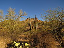 photo thumbnail #4