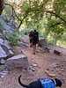 photo thumbnail #10