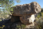 photo thumbnail #5
