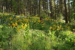 photo thumbnail #12