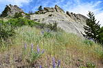 photo thumbnail #9