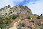 photo thumbnail #11